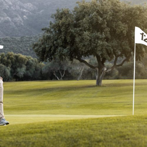 Understanding Golf Scoring and Point Systems